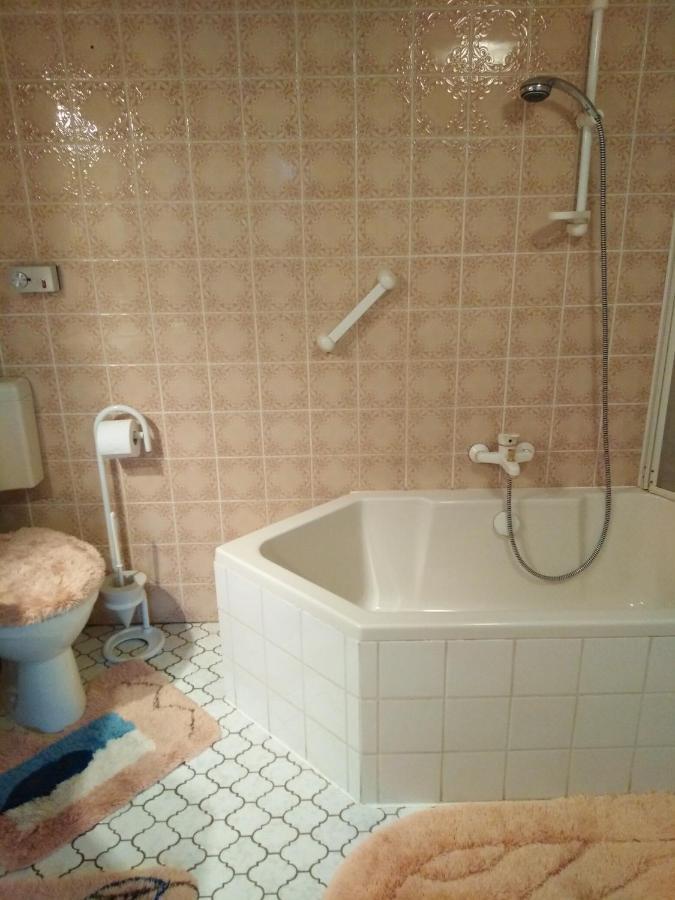 Landhaus Wohnung In D 63667 Nidda, Gaesschen 8 Erdgeschoss Rechts Eksteriør bilde